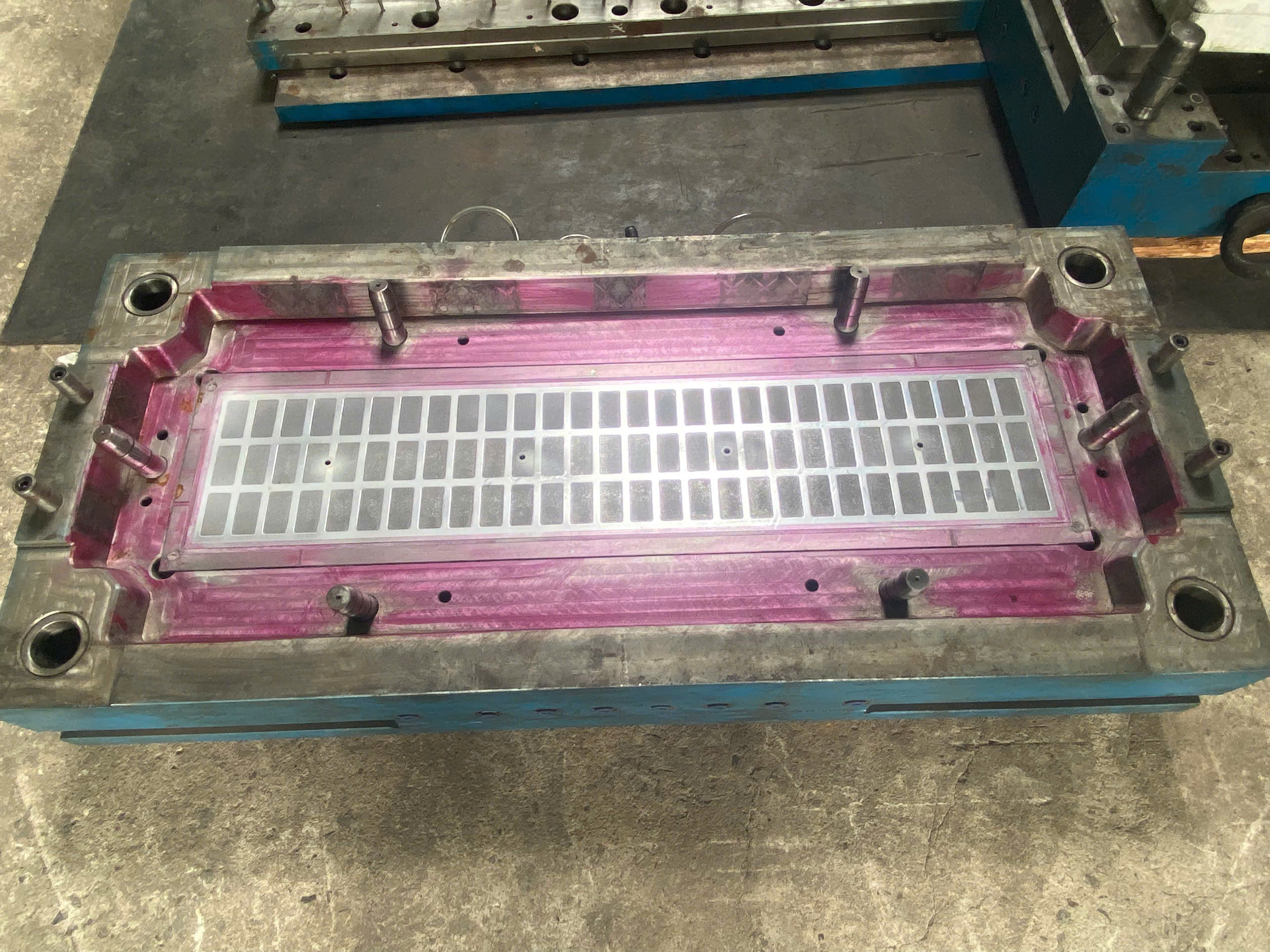 Mold 3.jpg